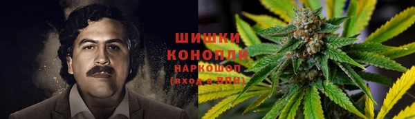 твердый Калининец
