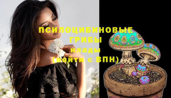 MESCALINE Красноперекопск