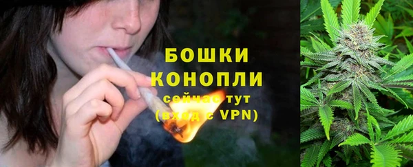 PSILOCYBIN Краснотурьинск