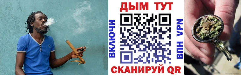 Бошки марихуана семена  Купить закладки  Кяхта 